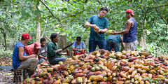 Tip A Farmer